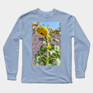 Giant Towering Sunflower by Debra Martz Long Sleeve T-Shirt